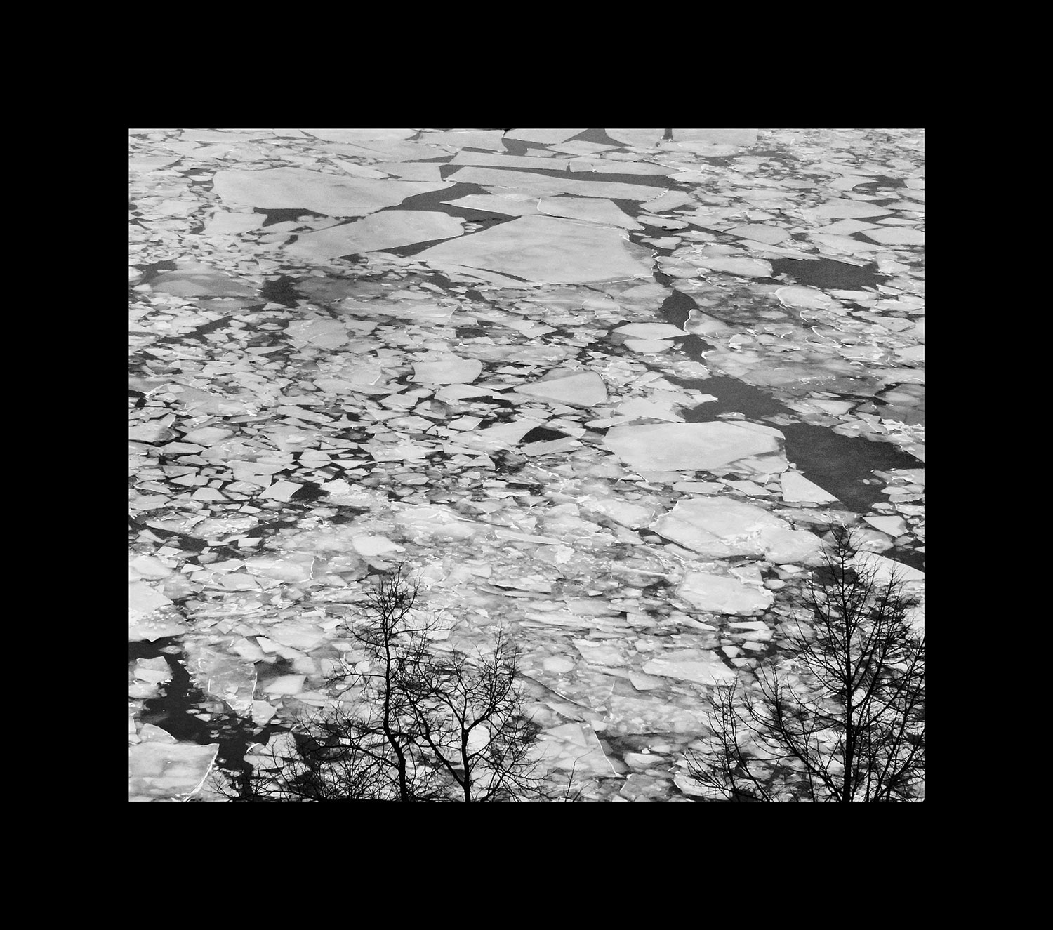Frost, Hamburg 2009
