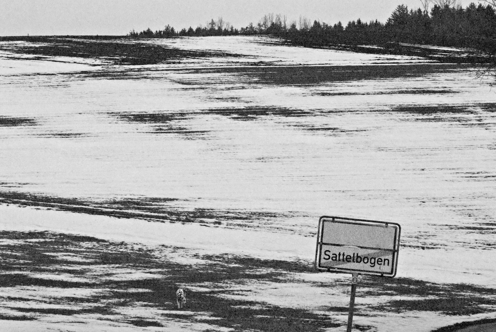Sattelbogen, Niederbayern 2010