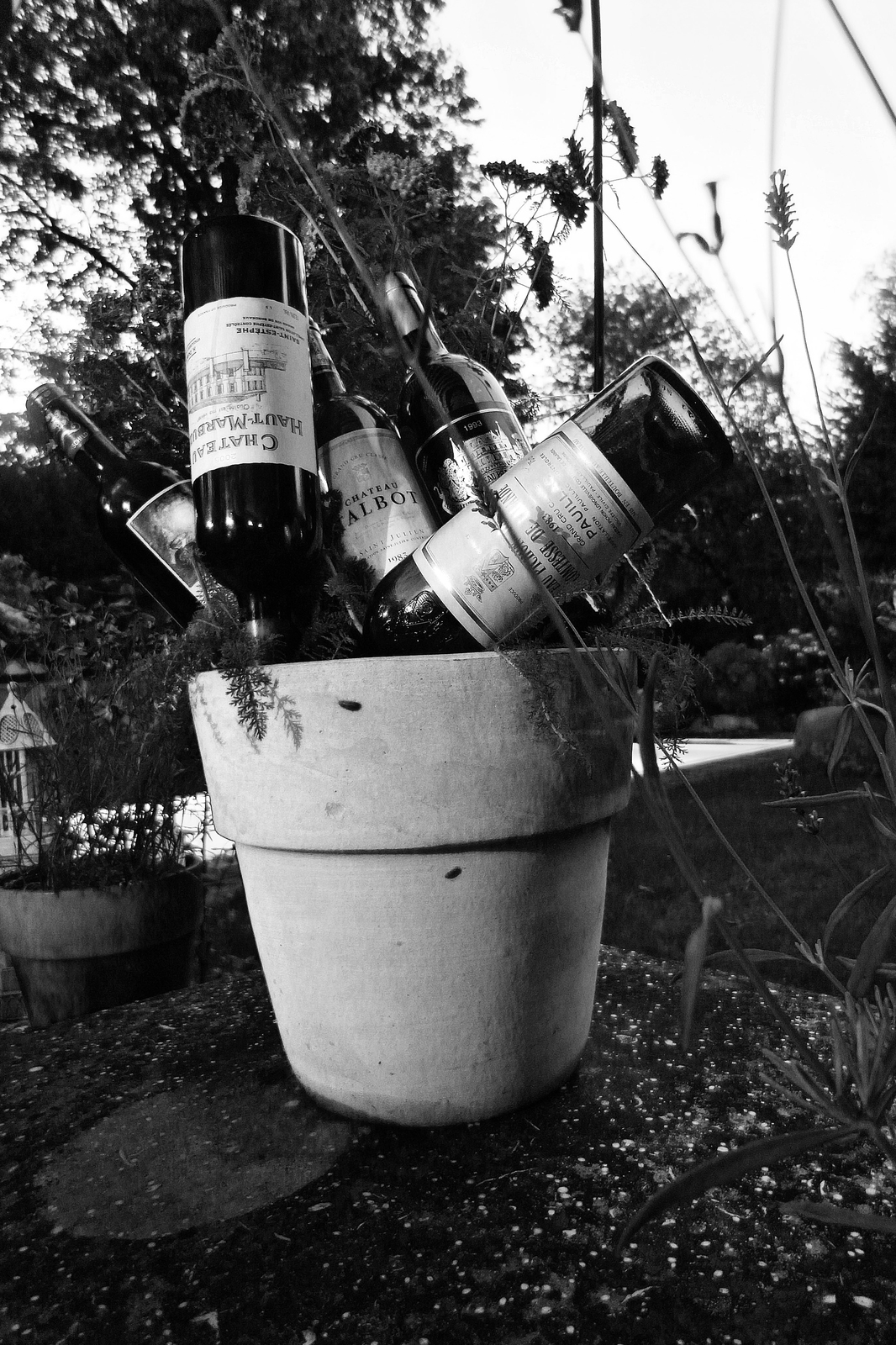 Flaschenstrauß, München 2009
